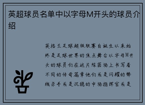 英超球员名单中以字母M开头的球员介绍